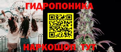 прущие грибы Бугуруслан
