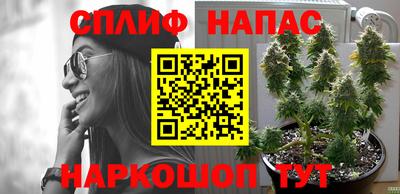 прущие грибы Бугуруслан