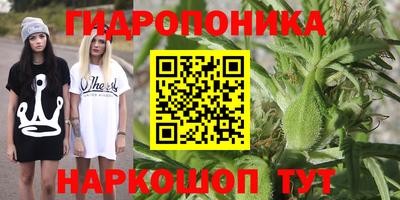 крисы Бузулук