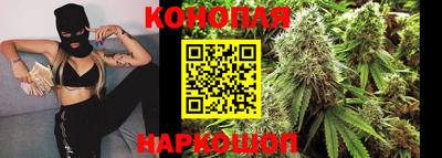 крисы Бузулук