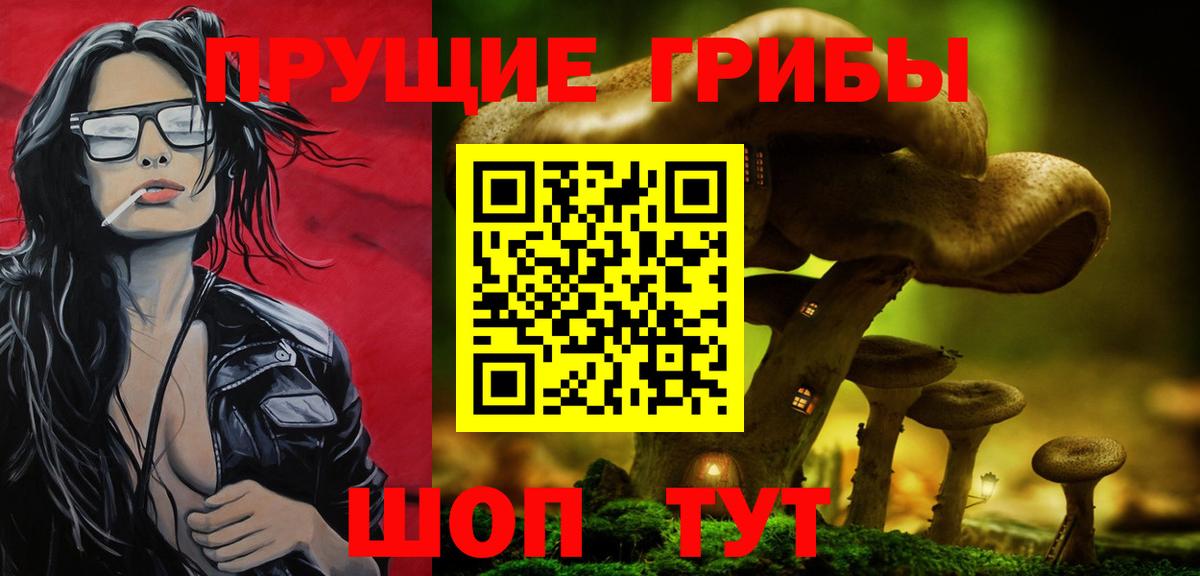 где продают   Псилоцибиновые грибы Psilocybine cubensis  Вход с VPN  Костомукша 